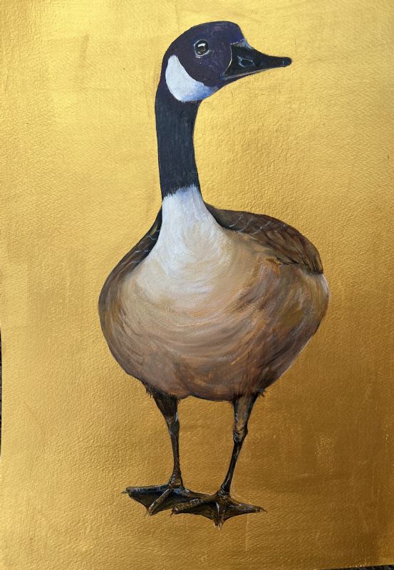 Golden goose 